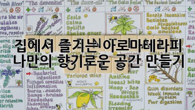 집에서 즐기는 아로마테라피: 나만의 향기로운 공간 만들기 ✨