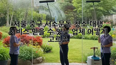 서울 중구 서소문동 청소 대행 서비스: 믿을 수 있는 업체, 어떻게 고르죠?