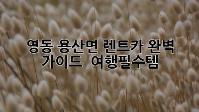 영동 용산면 렌트카 완벽 가이드! 😎 #여행필수템