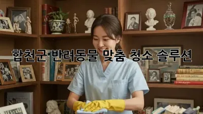 합천군 반려동물 맞춤 청소 솔루션