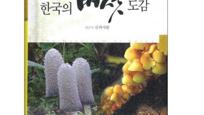 🍄 식용 버섯? 독버섯? 똑똑하게 고르는 법! [솔직 후기] 득템 찬스! 💰
